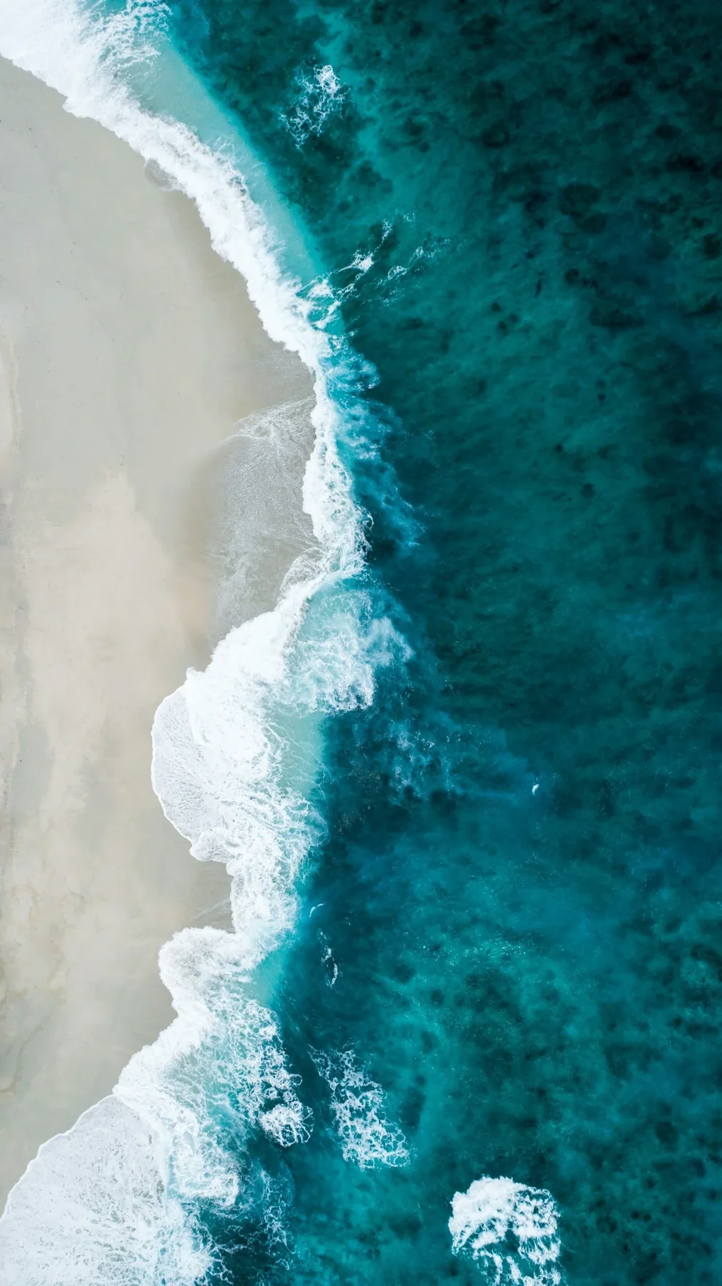 Aerial view of water meeting shoreline